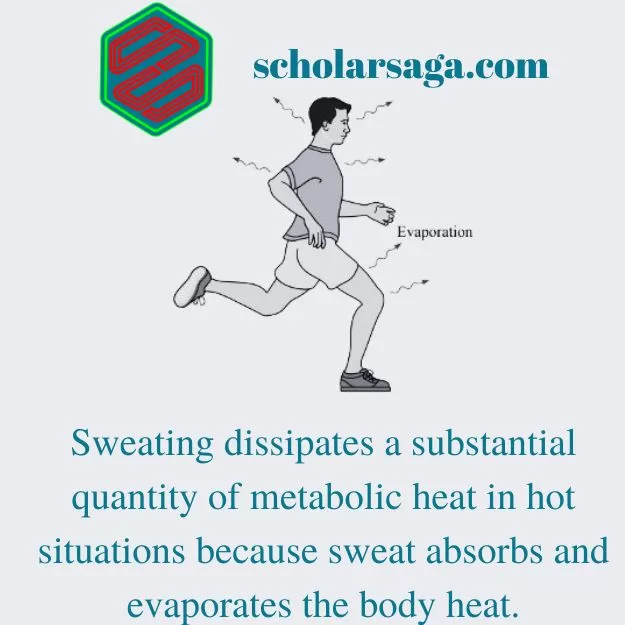 Adaptations and acclimation mechanisms of Heat in the Human Body. scholarsaga.com